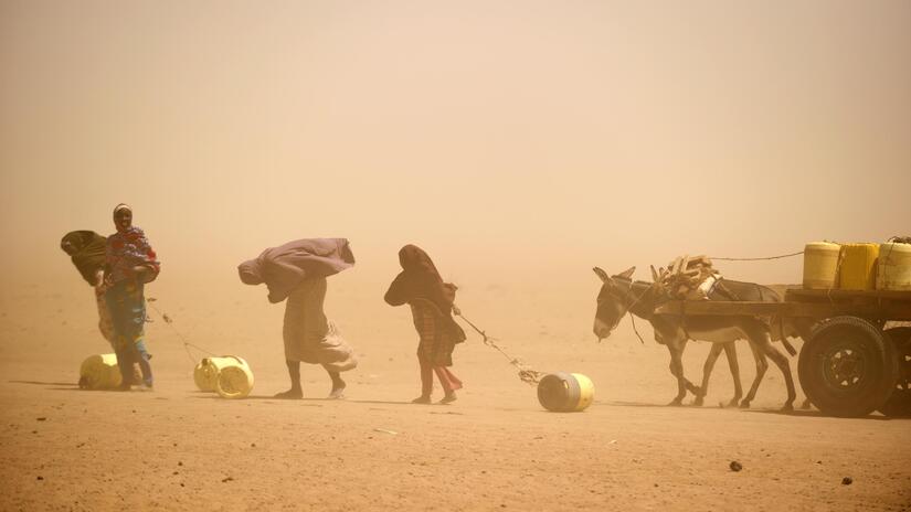 West African Sahel (Google image)