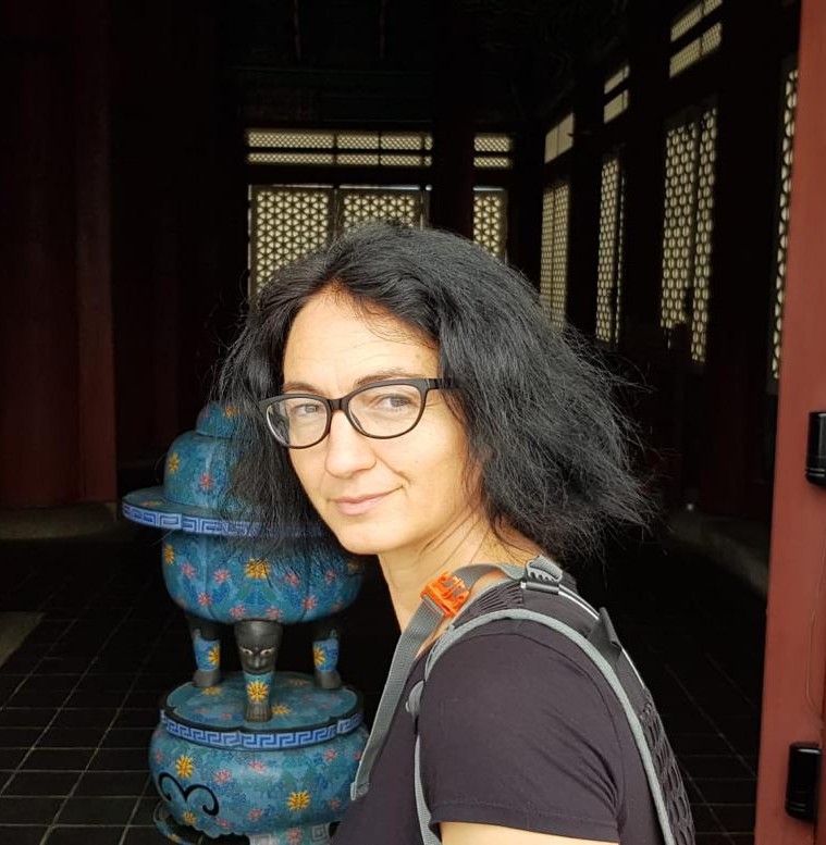 violeta velkoska, IDHA lecturer